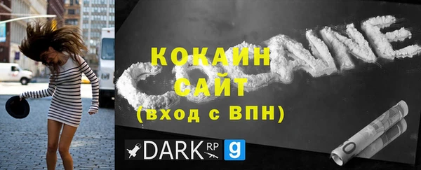 крисы Новодвинск