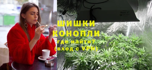 ГАЛЛЮЦИНОГЕННЫЕ ГРИБЫ Алексин