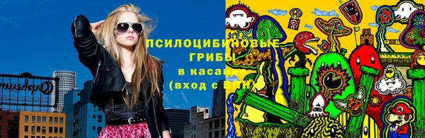 ГАЛЛЮЦИНОГЕННЫЕ ГРИБЫ Алексин